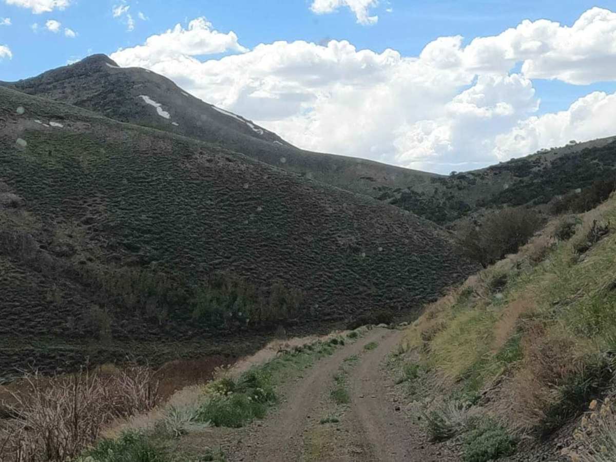 Slippin N Scramblin trail photo