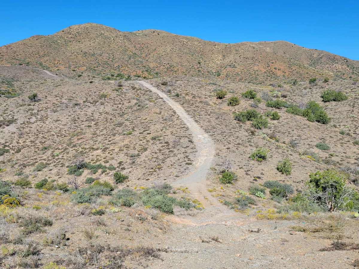 Trail 1940 photo 4