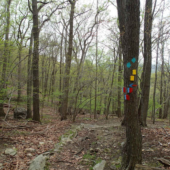 Near Carriage Road