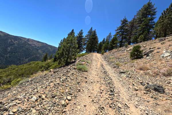 Butcher Ranch Road - FS 12E07