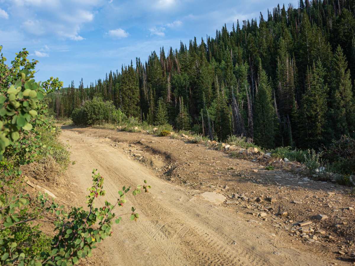 Big Springs - FS 70109 photo 3