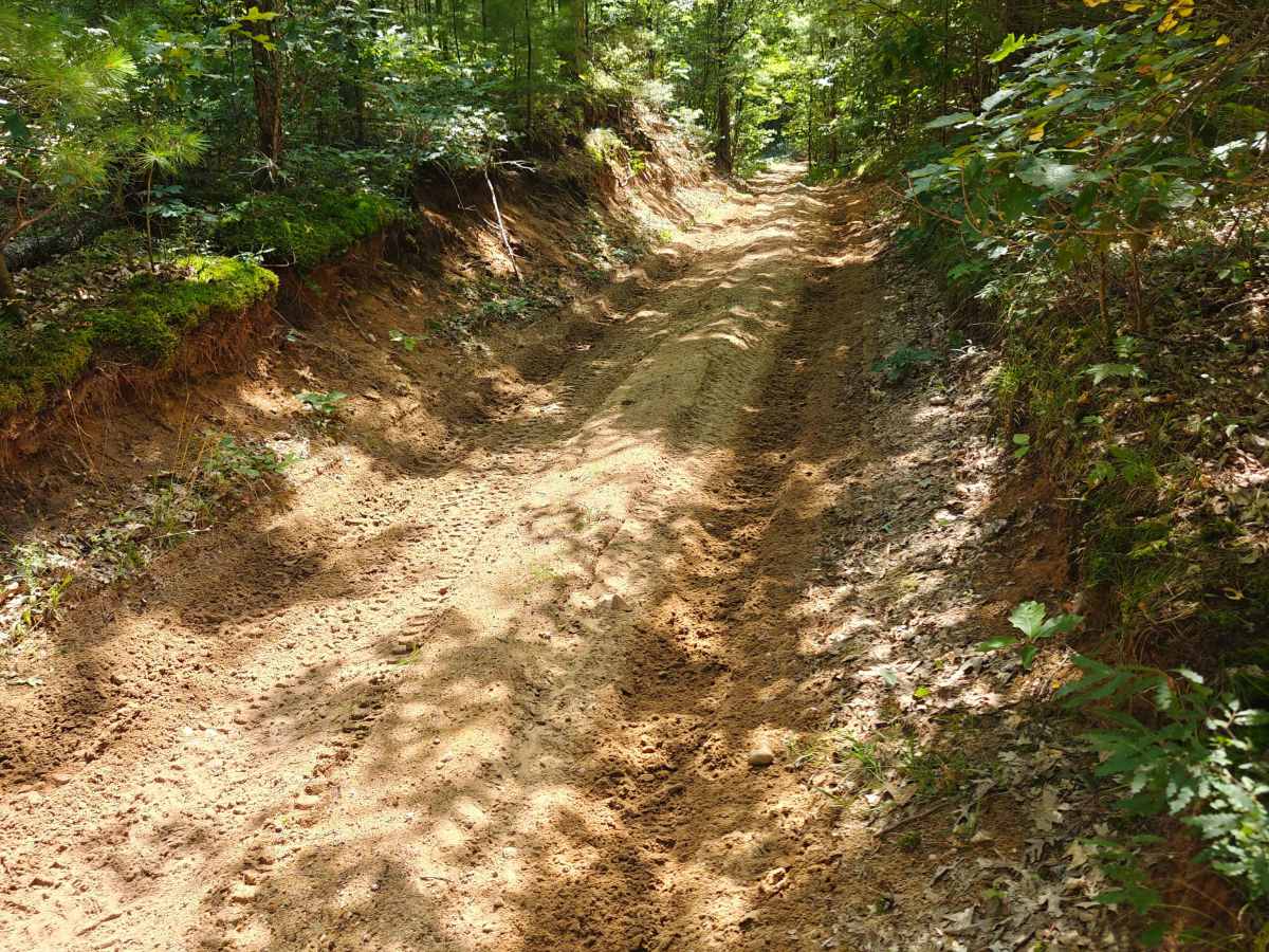 Everett Trail photo 4