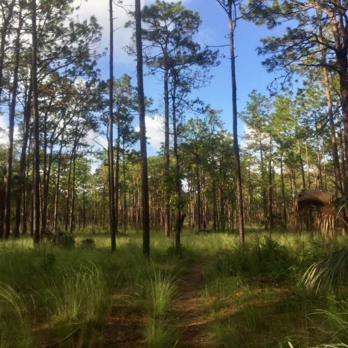 Near Volksmarch Trail