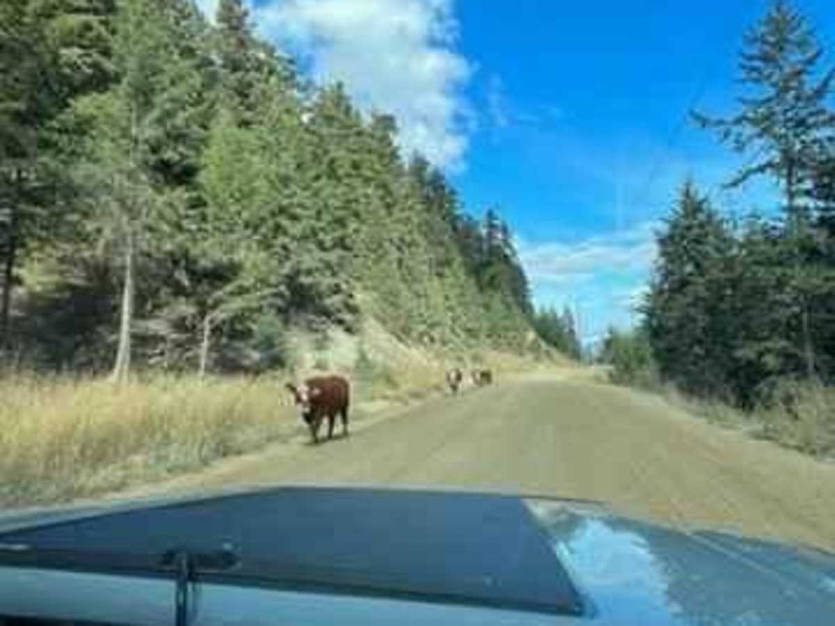 Adams Road West photo 3