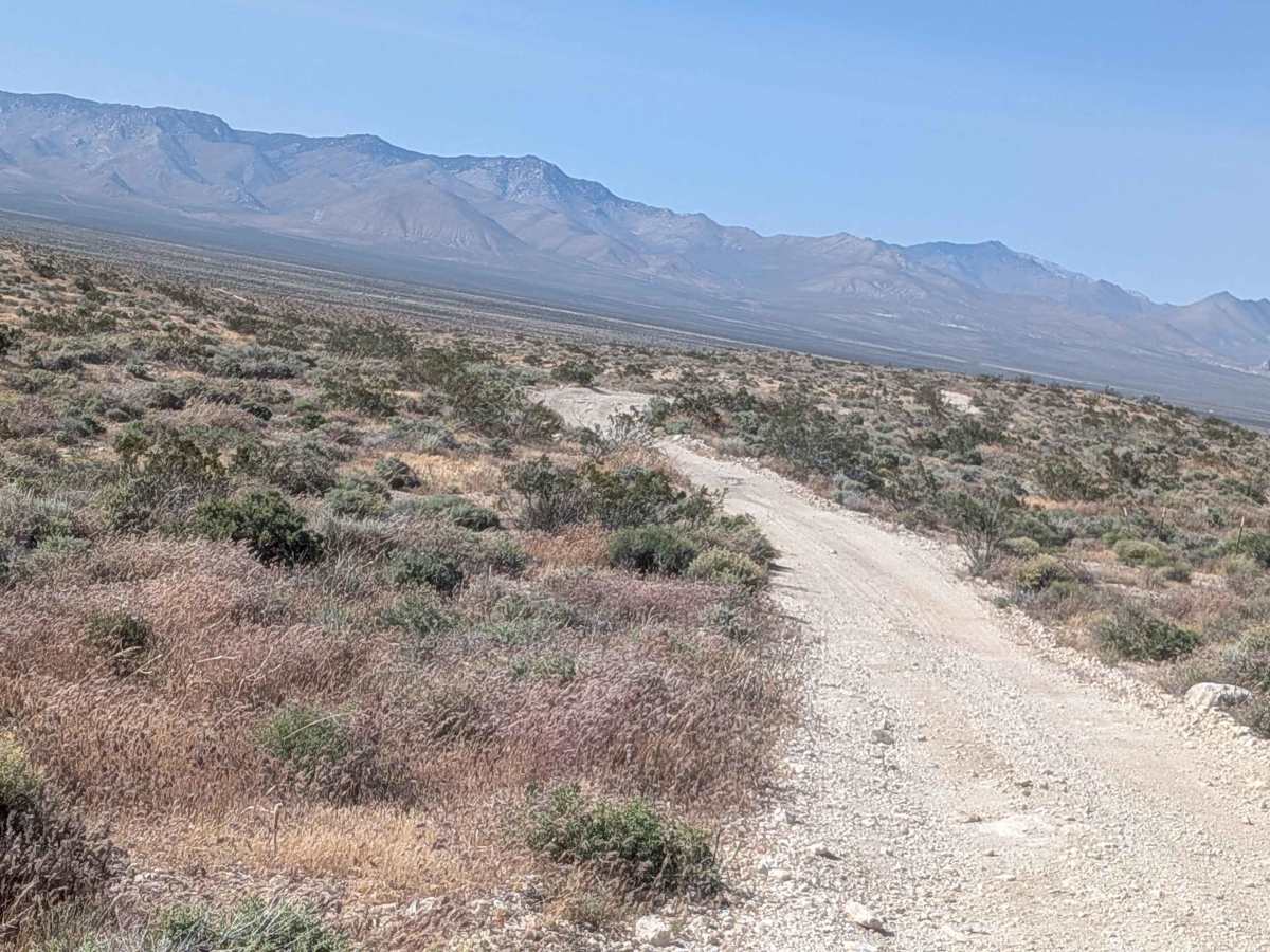 Roaring Ridge Road trail photo