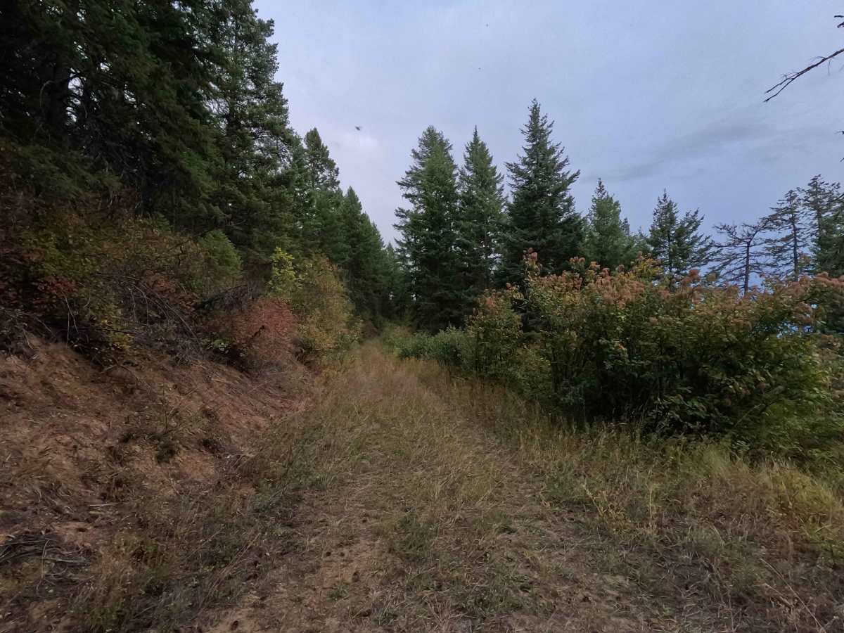 Dry Canyon Ridge - FS 1933300 photo 6
