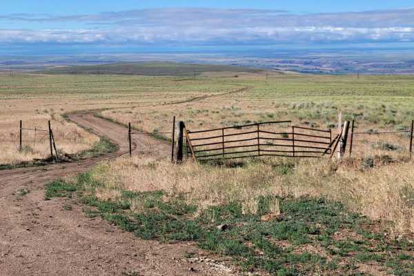 Dempsey Meadow