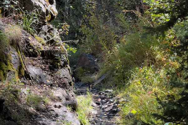 Bear Gulch Trail - FS 610