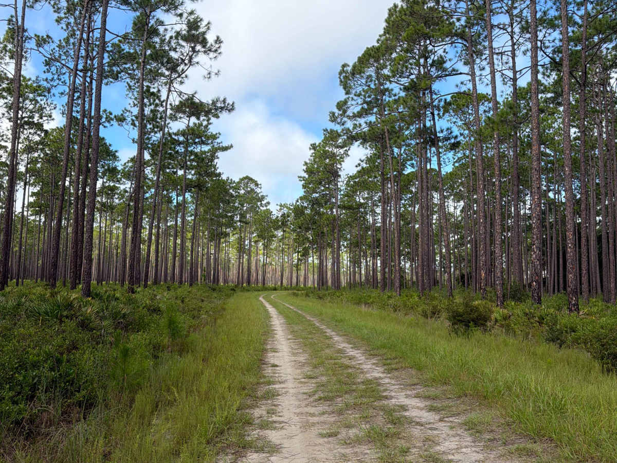 Osceola Connector - FS 216 photo 2