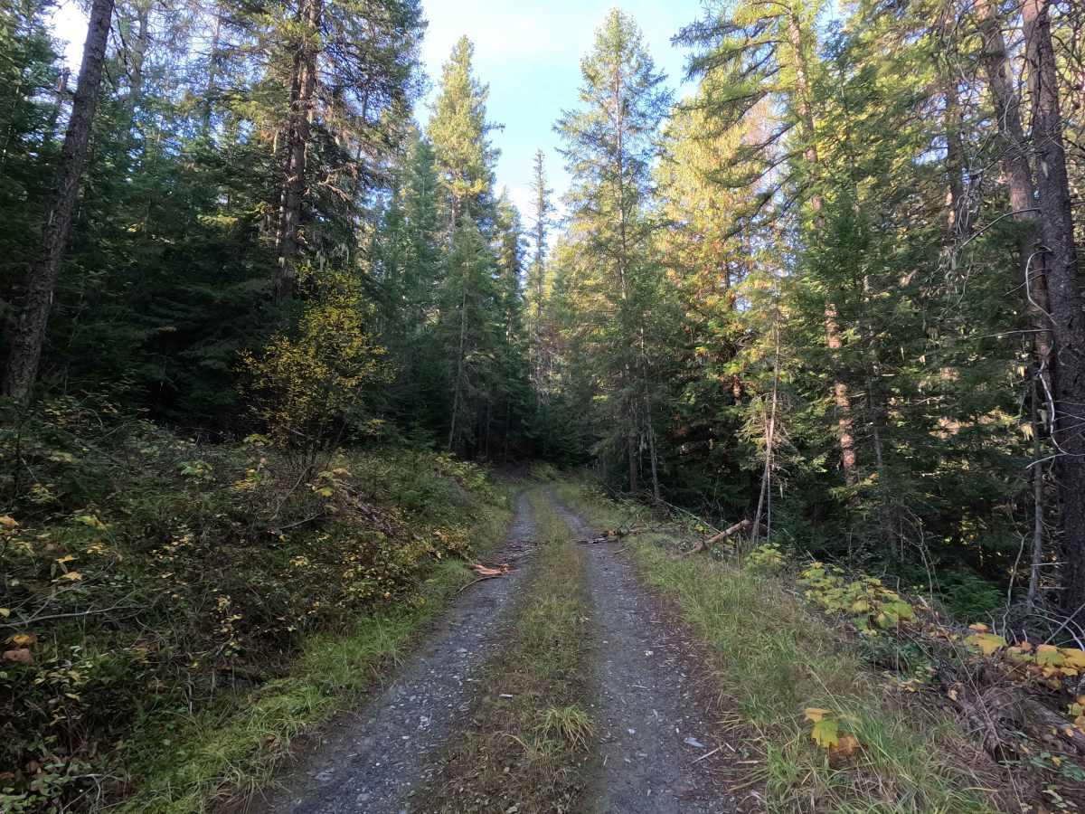Kidney Pond Road photo 2