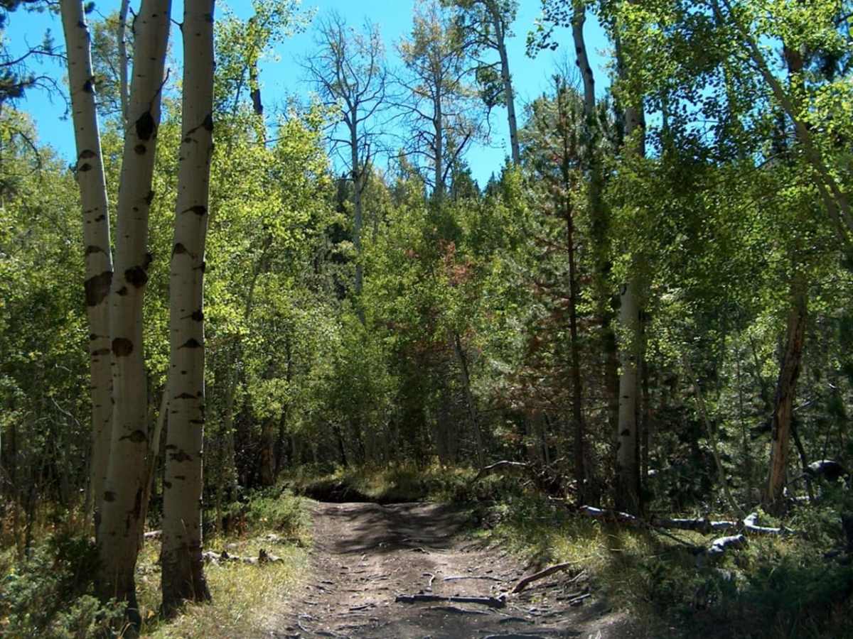 Labonte Canyon photo 6