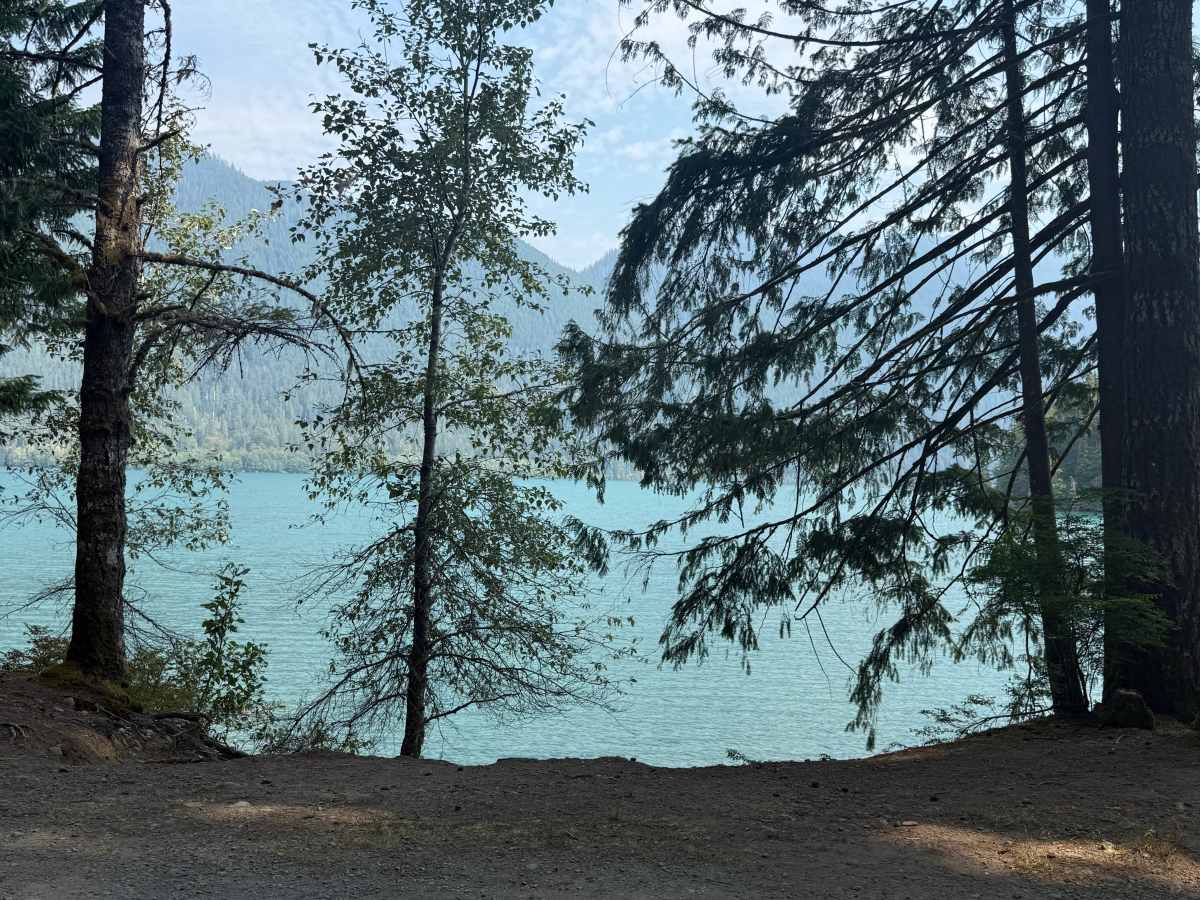 Lower Sandy Campground photo 3