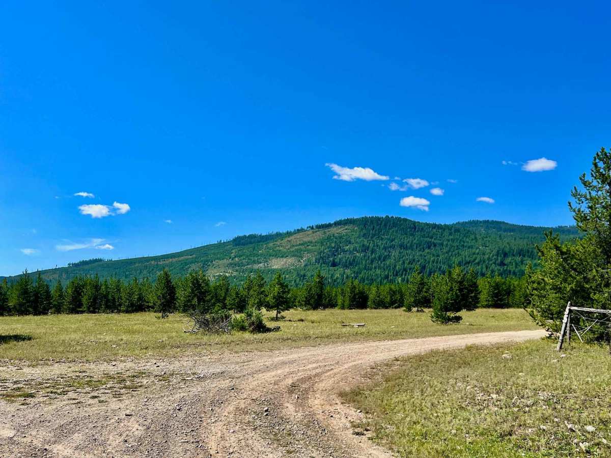 Plumbob Creek FSR photo 3