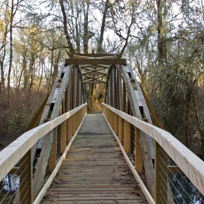Near Mount Pisgah Arboretum Hike