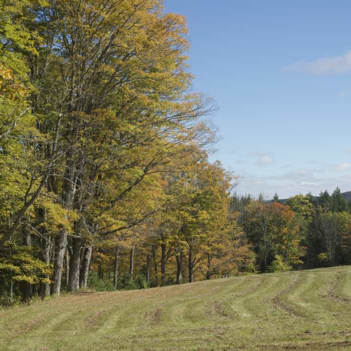 Near Summer Pasture Road