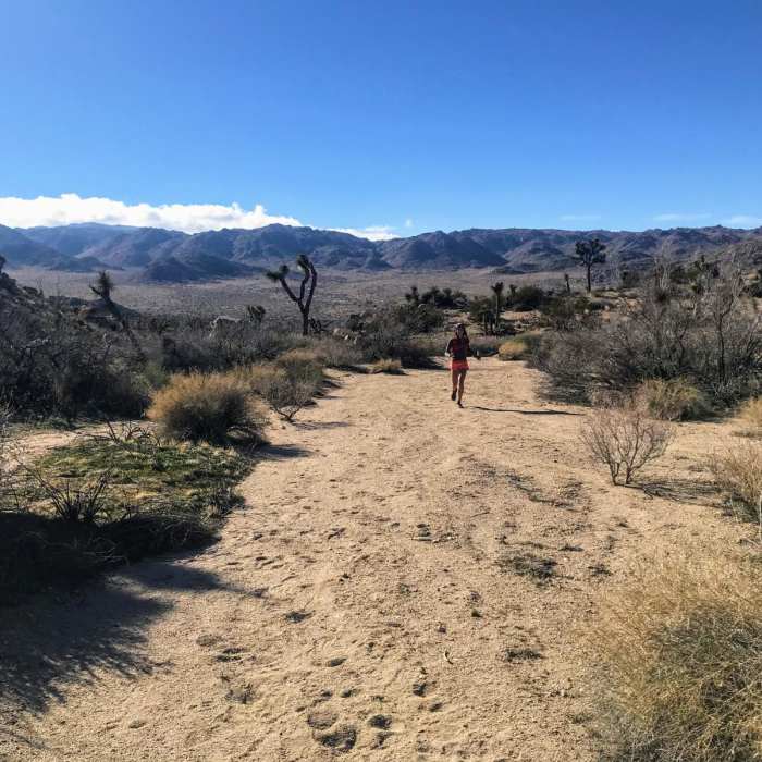 Near Bigfoot Trail Loop