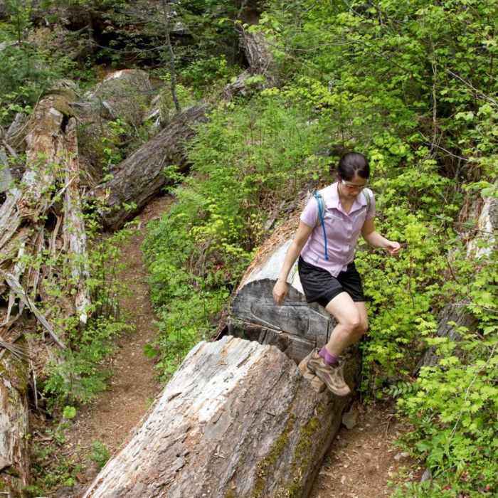 Near South Breitenbush Gorge National Recreation Trail