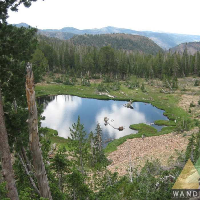 Near Jarbidge River