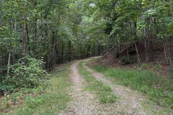 Peters Creek