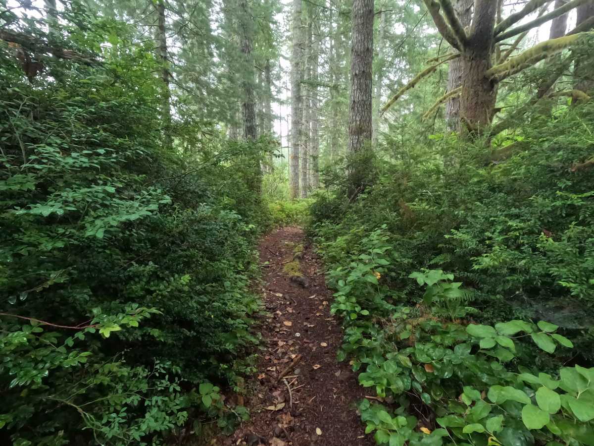 Twin Lakes Trail photo 4