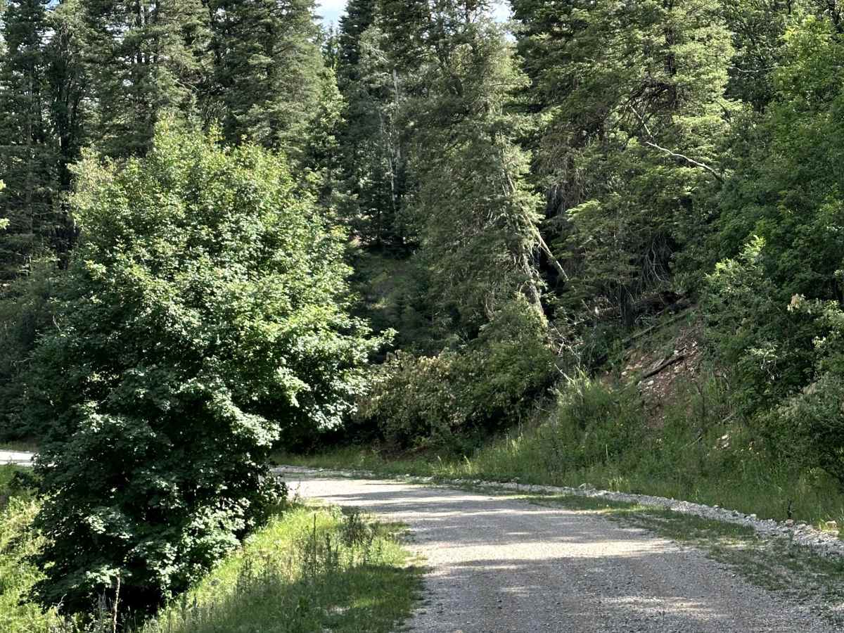 Potato Canyon photo 3