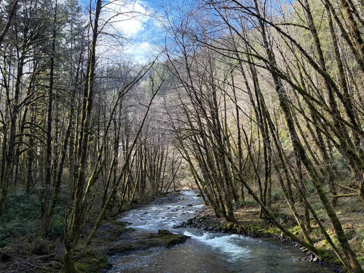 Ginger Creek Road photo 5