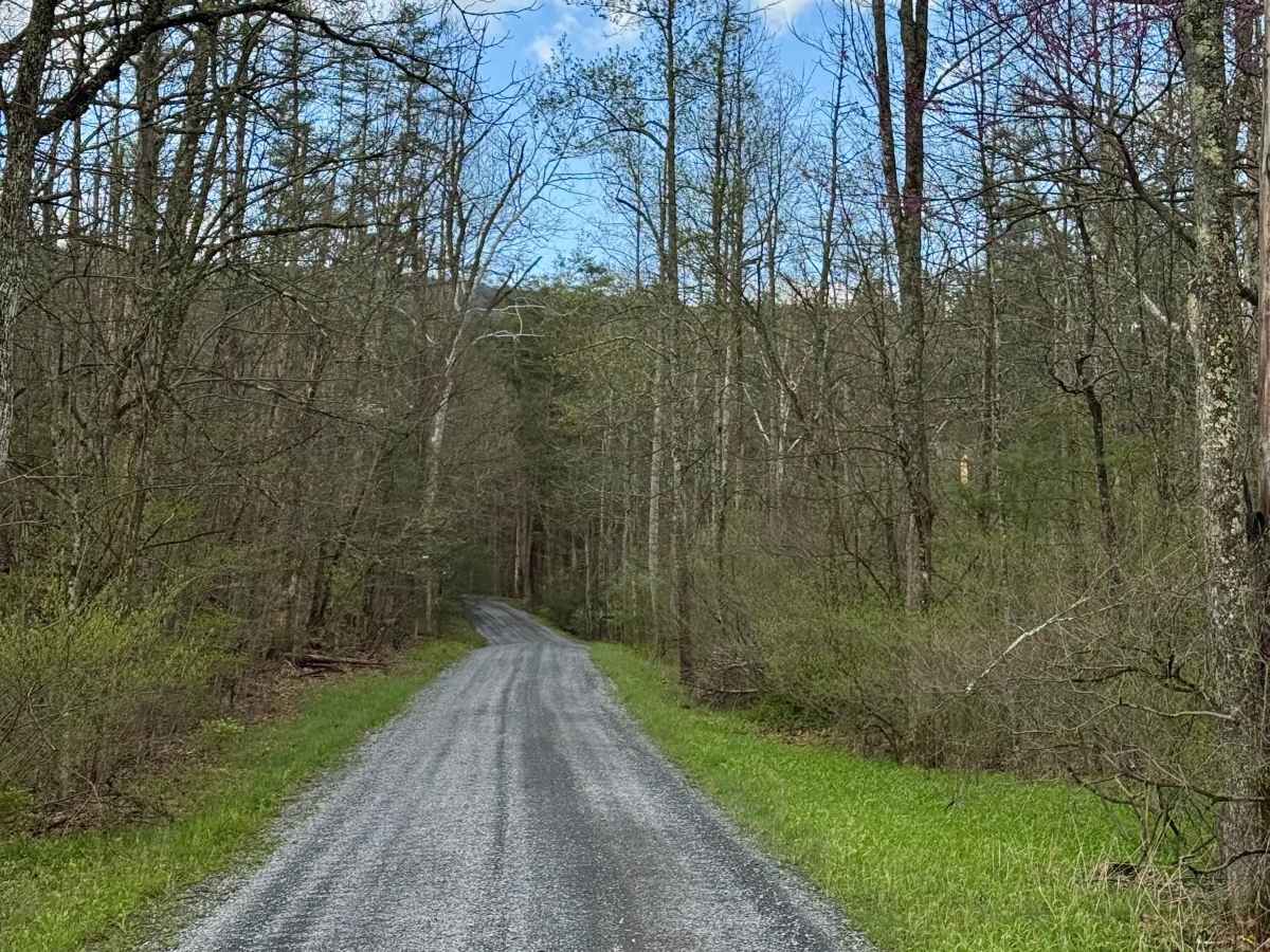 Martin Road photo 6