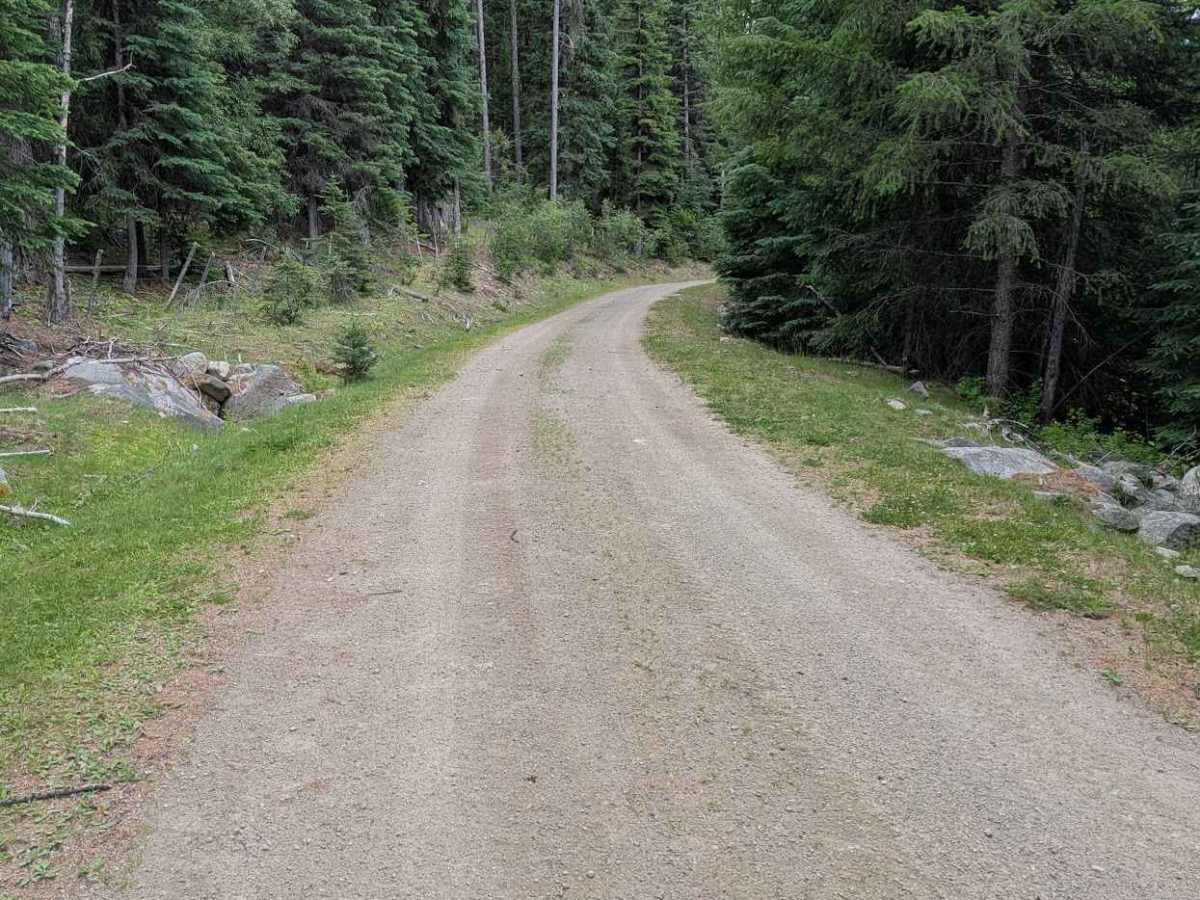 Chickadee Road trail photo