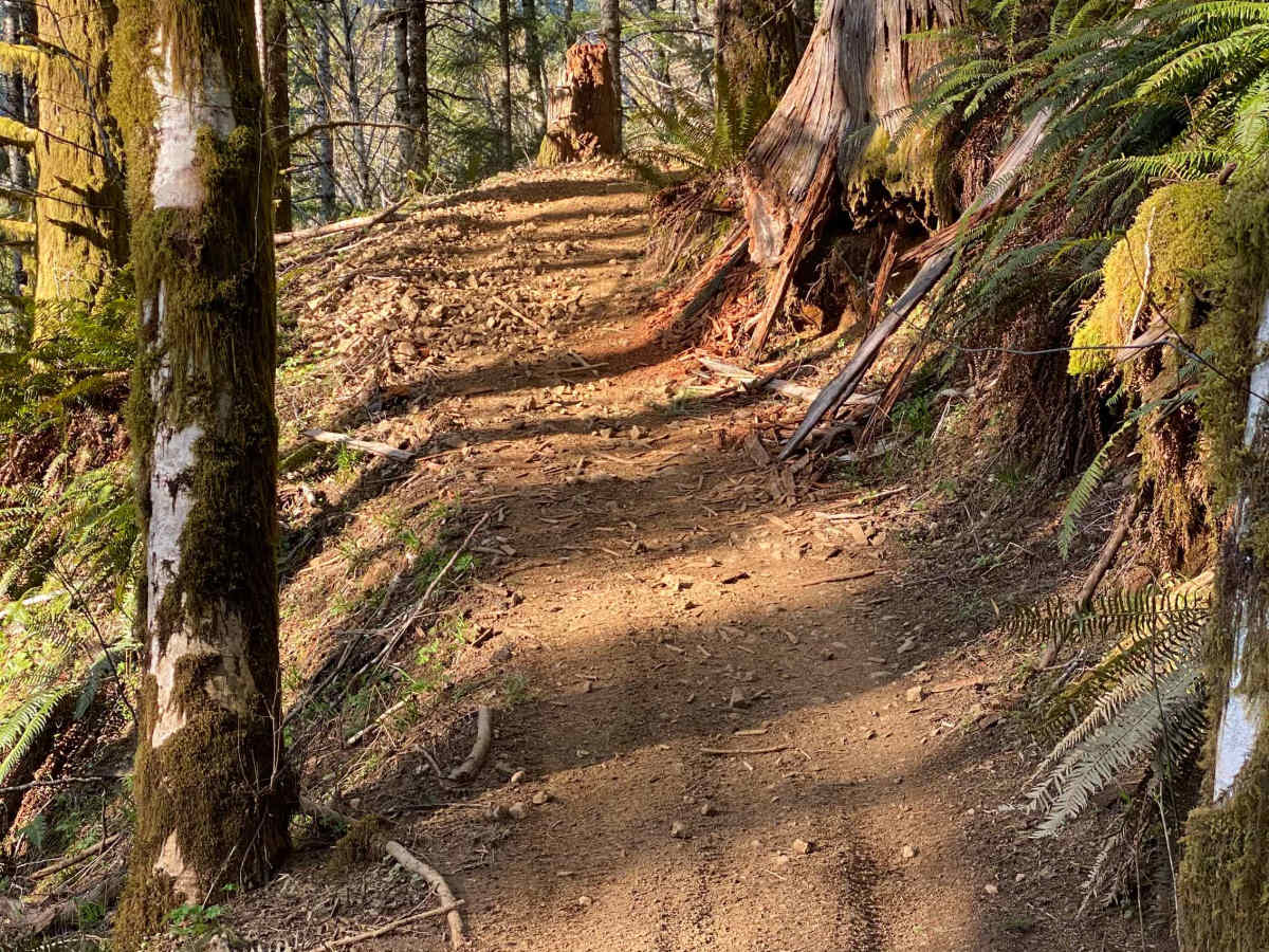 Trail 45 Log Jam - Leg 1 photo 4