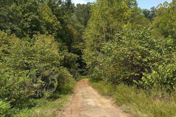 Trail 1