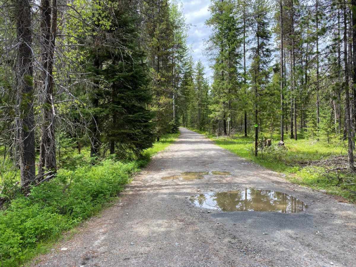 LPO-Hansen-Robins Creek trail photo
