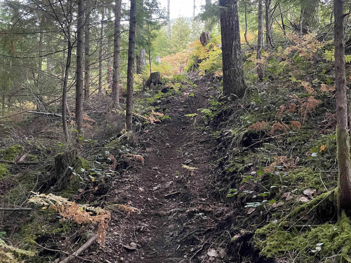 Still Skipping trail photo