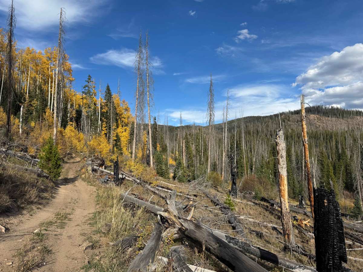 Manzanares Connector Trail photo 6