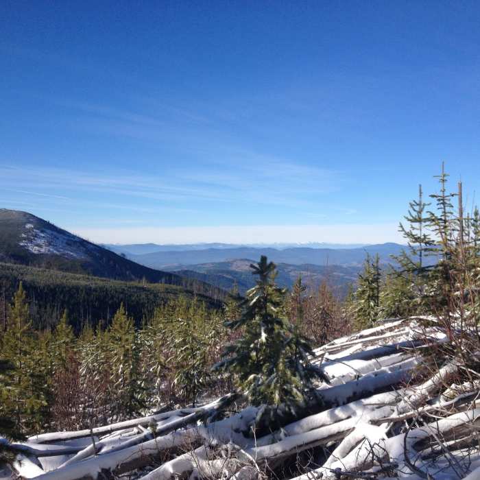 Near Kettle Crest South Trail #13