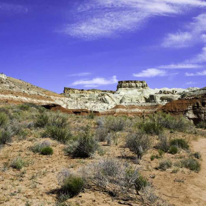 Near Toadstools Trail through Paria Rimrocks