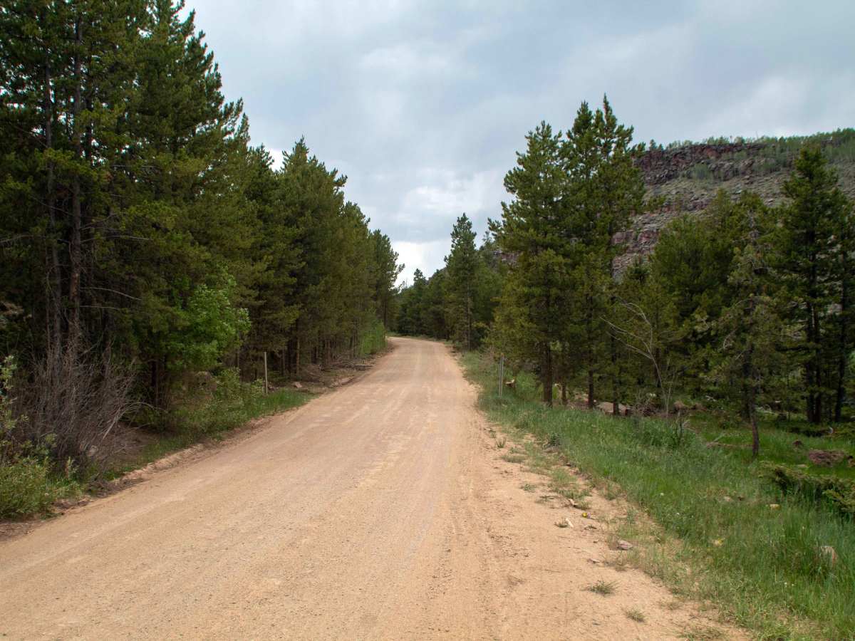 Browne Lake - FS 10096 photo 3