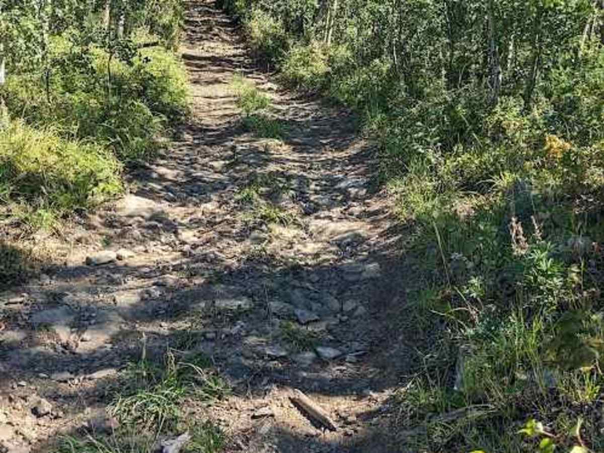 Porcupine Hills Trail 30-33 photo 4