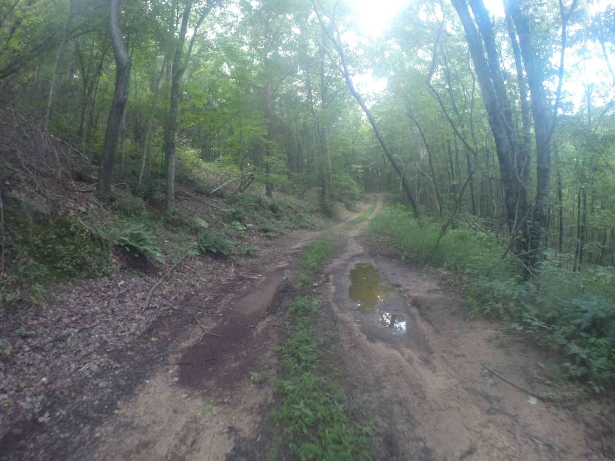 Chestnut Mountain Spur - FS 212C photo 2