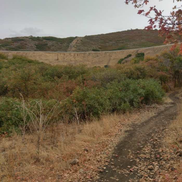 Looking east along the Little Valley Loop Trail Near Little Valley Overlook
