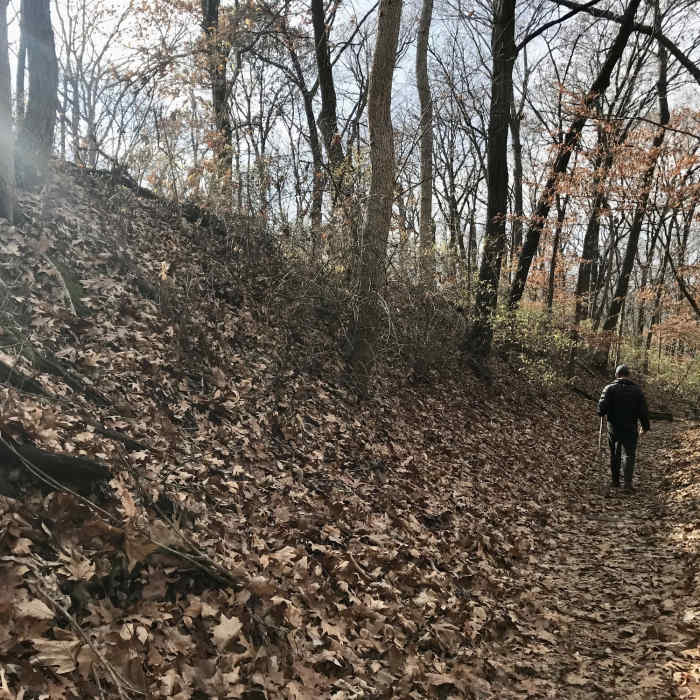 Near White Tail Trail