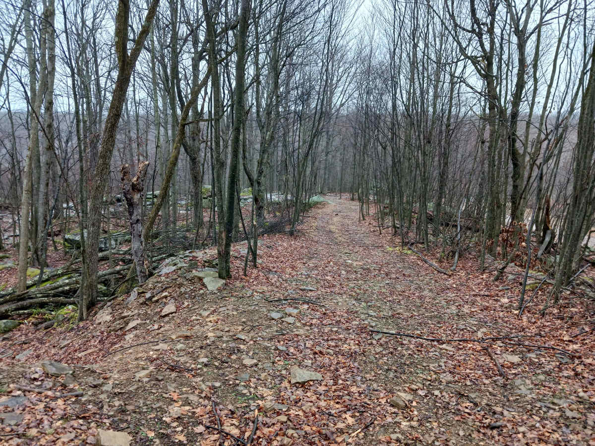 OHV 39 - Rock Run Recreation Area photo 3