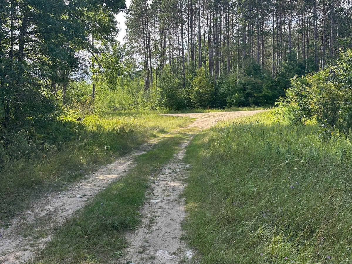 Merritt Cutover trail photo