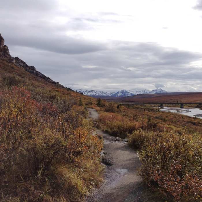 Near Savage Alpine and River Route