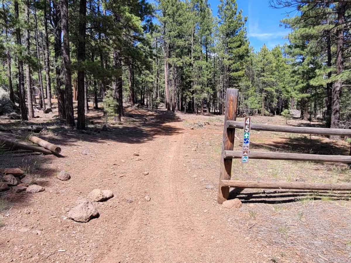 Uinta Loop 3 trail photo
