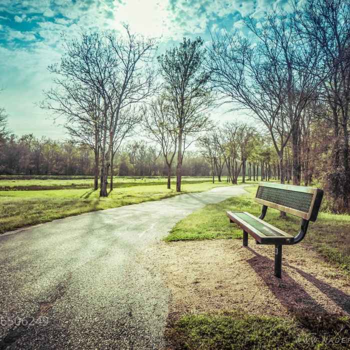 Near Terry Hershey Hike and Bike Trail