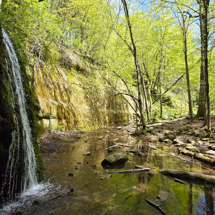 Near Stephens Falls Trail