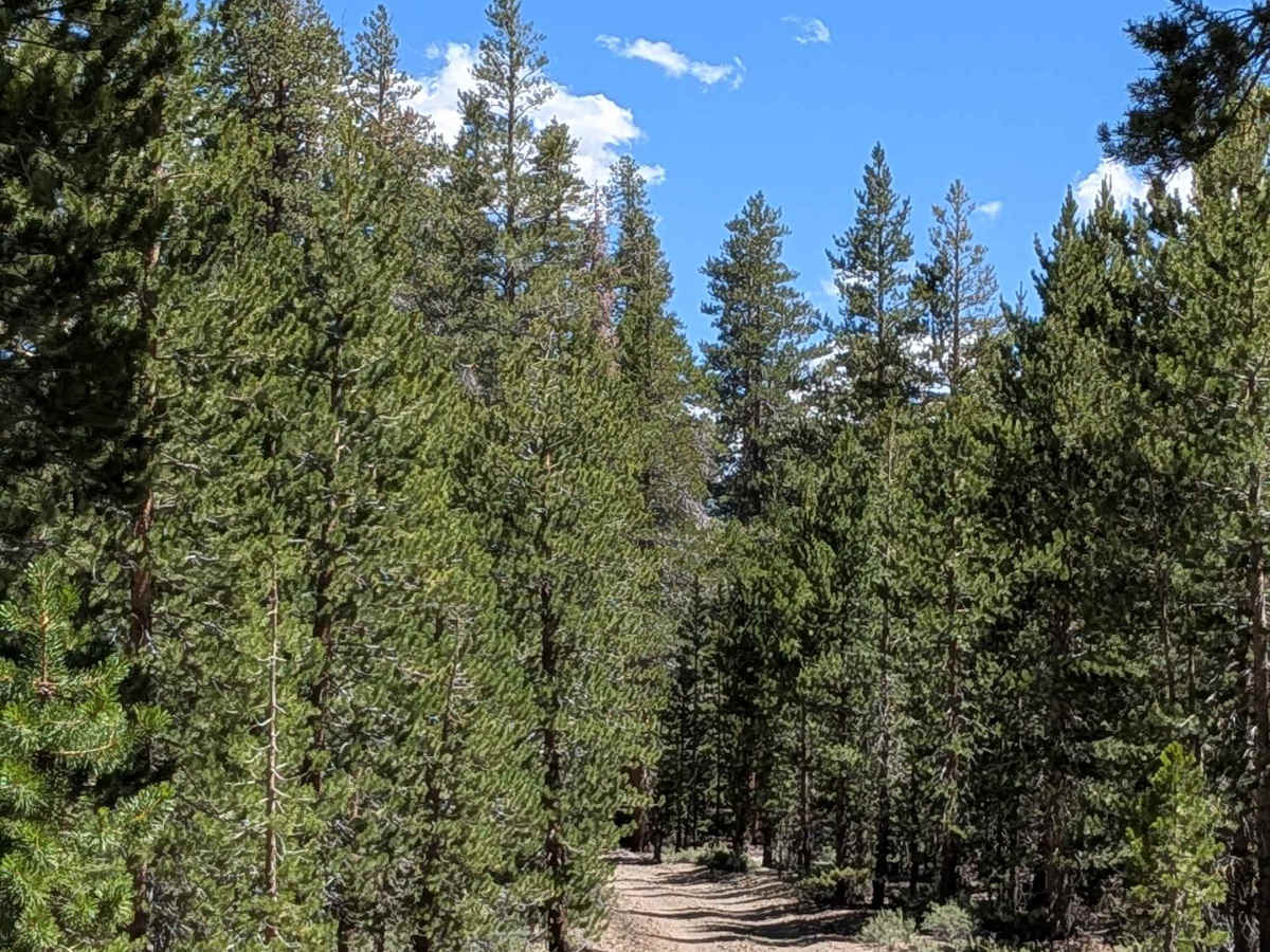 Alpers Canyon Upper FS2S42 photo 3