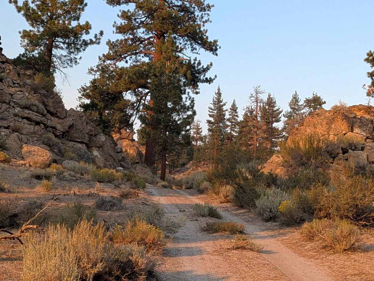 Bishop Tuff Scenic Loop - FS 4S38 photo 5