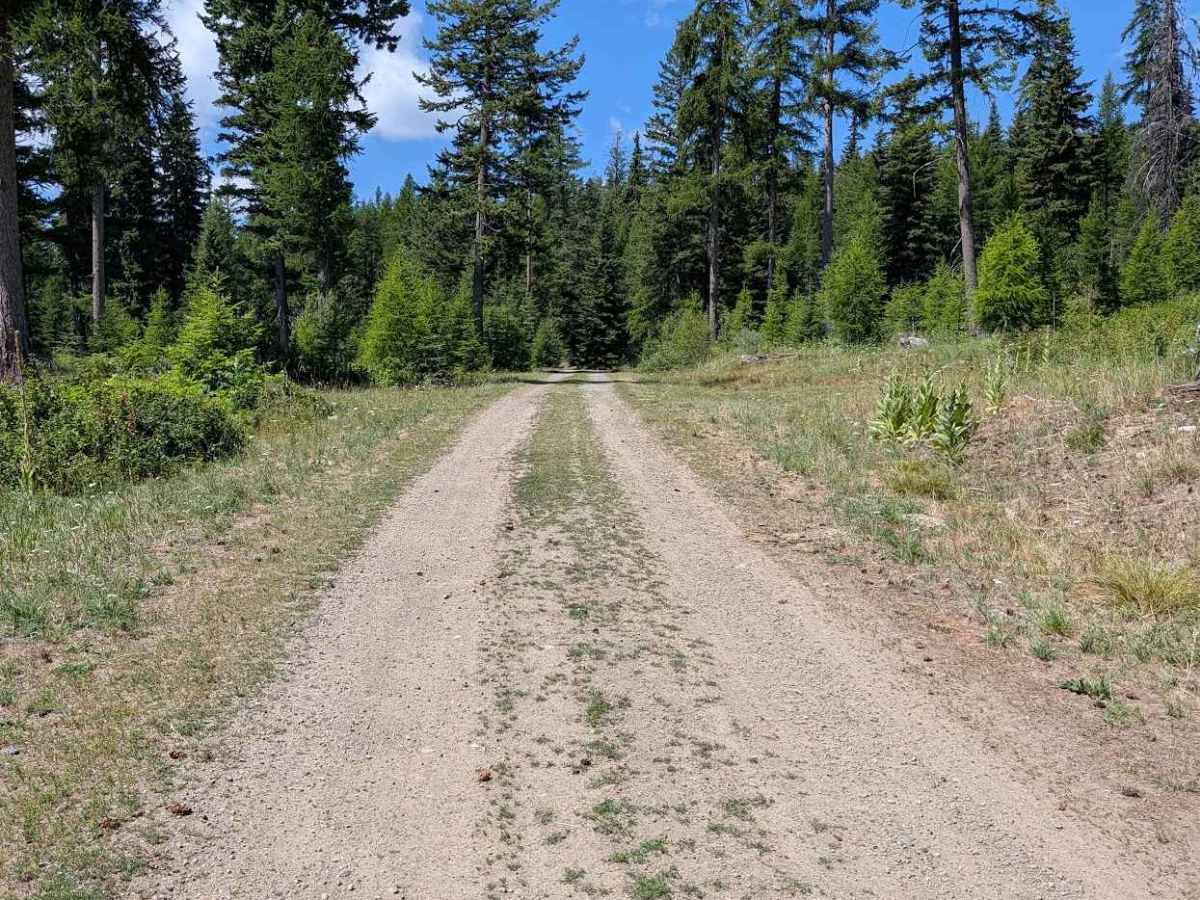 Gibson Creek Road photo 5
