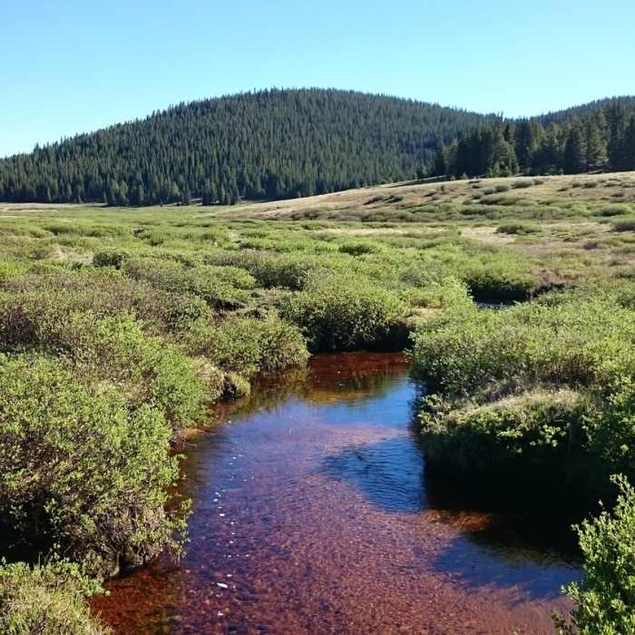 Expect to see iron-saturated water in the area. Near Tumble Creek Trail #617